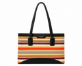 Kate Spade Colorful Bag